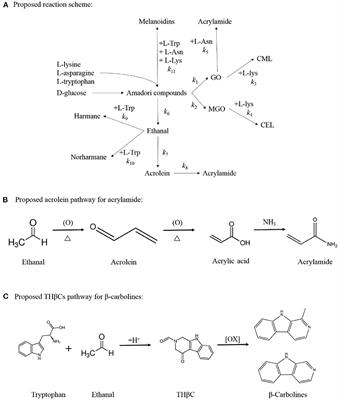 The Simultaneous Formation of Acrylamide, β-carbolines, and Advanced Glycation End Products in a Chemical Model System: Effect of Multiple Precursor Amino Acids